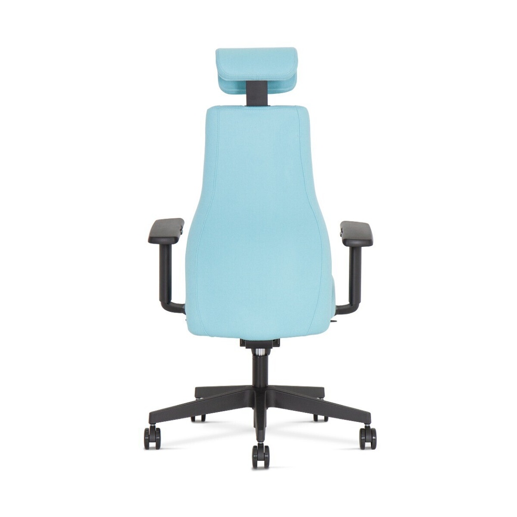 office-chairs_1-1_viden-17.jpg
