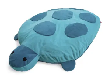 tortue2.webp