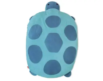 tortue.webp
