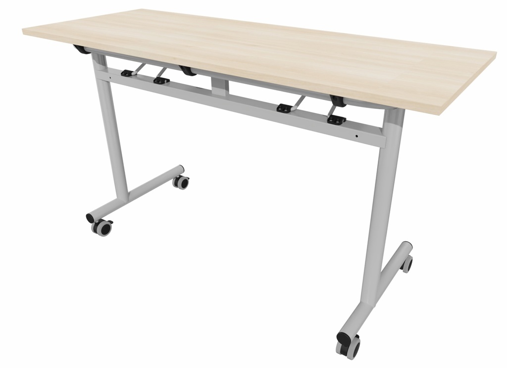 FT12 ENSEIGNEMENT  130 X 50 FIXE