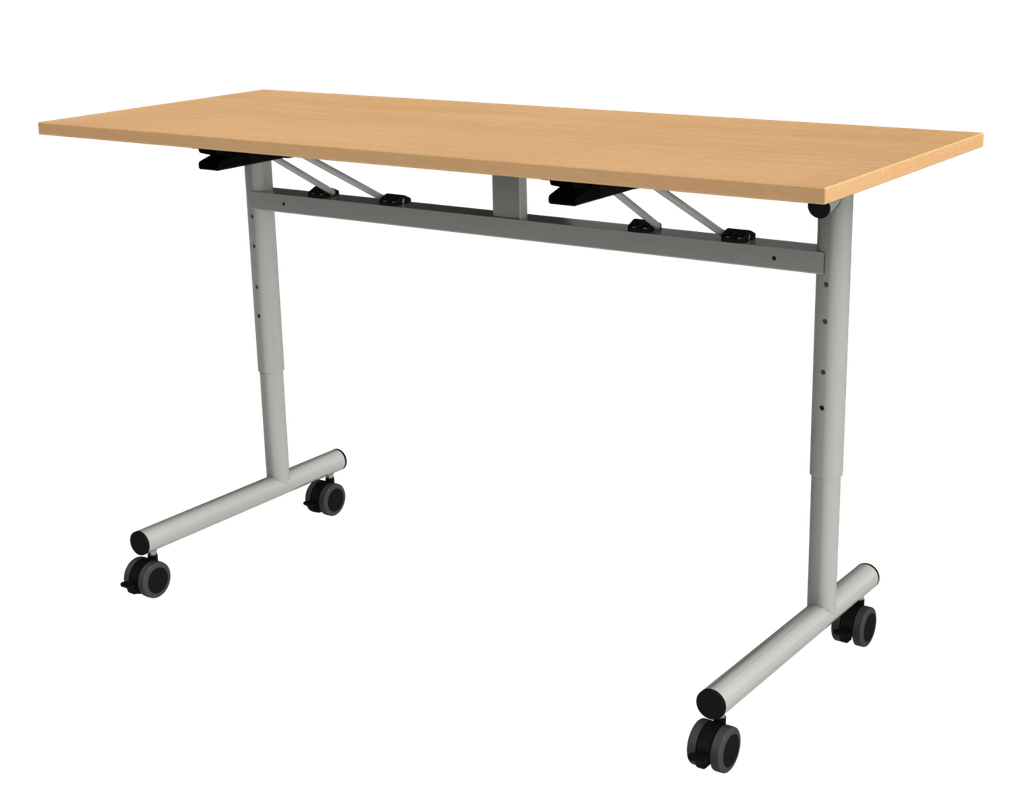 FT12 ONDERWIJS  130 X 50 VERSTELBAAR