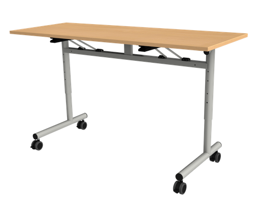 FT12 ONDERWIJS  130 X 50 VERSTELBAAR