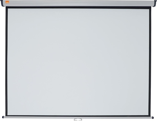 ECRAN DE PROJECTION mural 