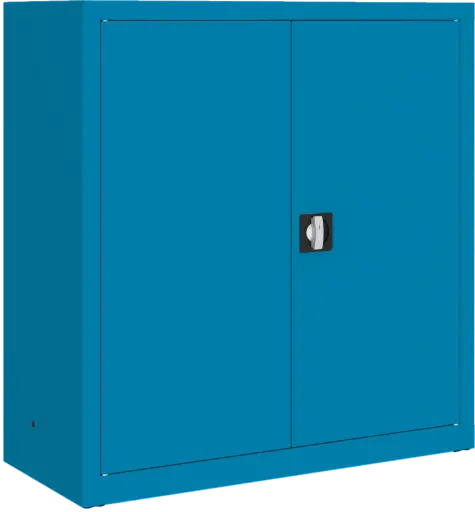 KAST MET 2 DEUREN IN STANDAARDKLEUREN 